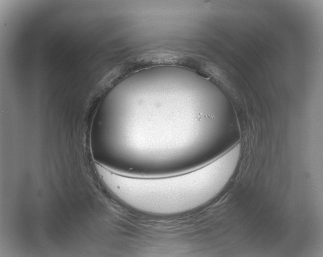 X0000064770309200602101100