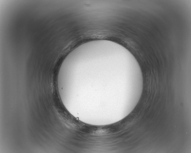 X0000064770312200602101100