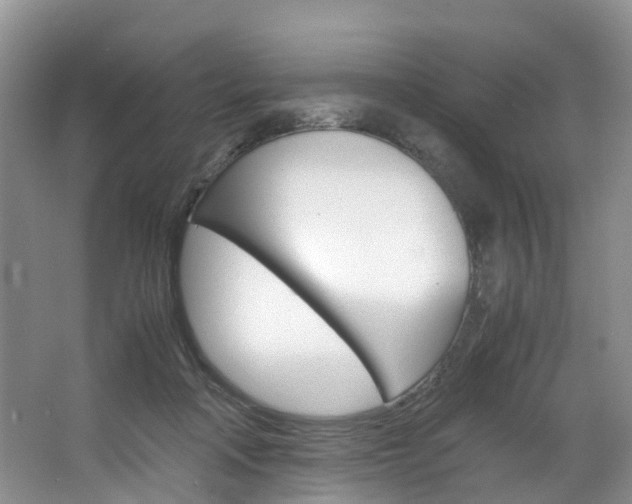 X0000064770314200602101100