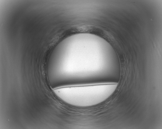 X0000064770317200602101100
