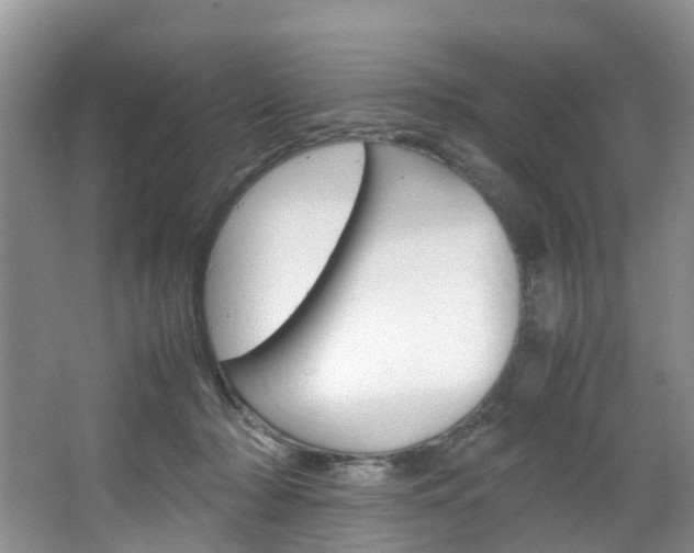 X0000064770318200602101100