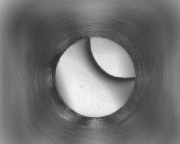 X0000064770320200602101100