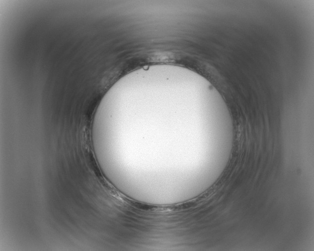 X0000064770322200602101100