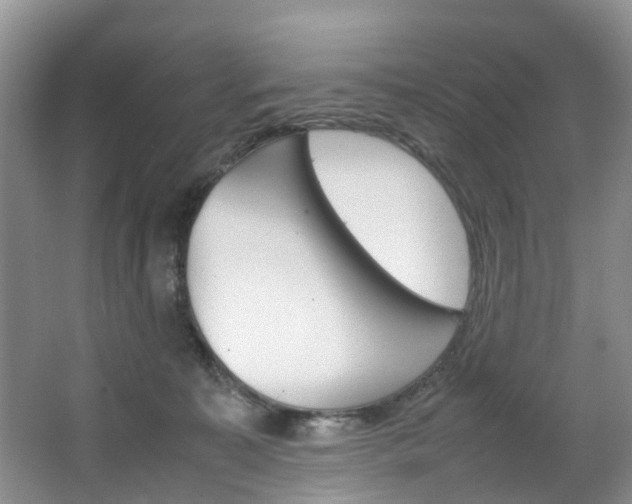 X0000064770323200602101100