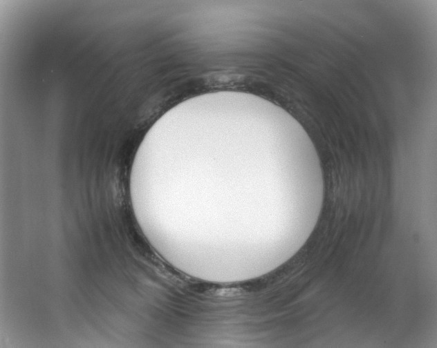 X0000064770324200602101100