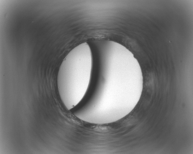 X0000064770332200602101100