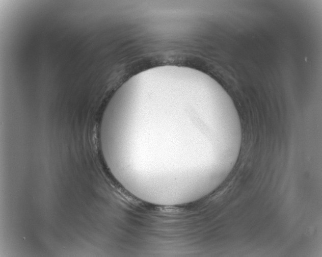 X0000064770336200602101100