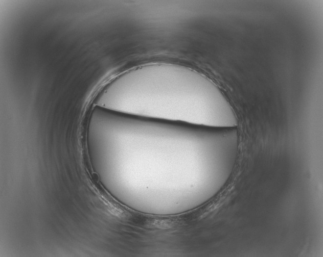 X0000064770341200602101059