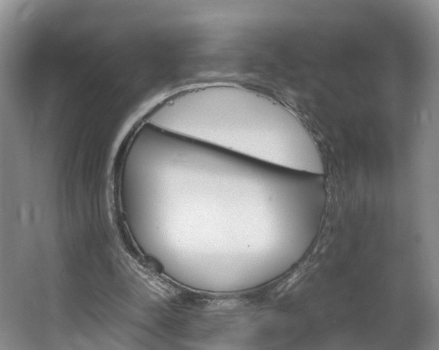 X0000064770342200602101059