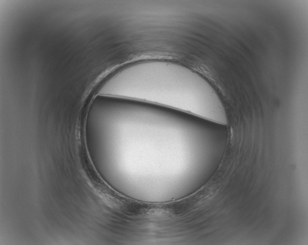 X0000064770348200602101059