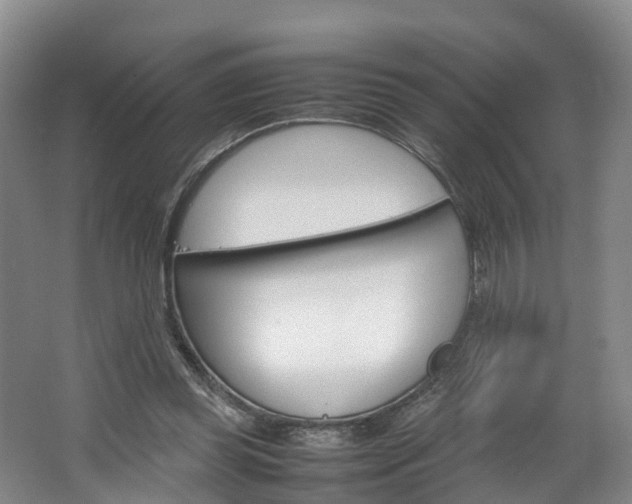 X0000064770349200602101059