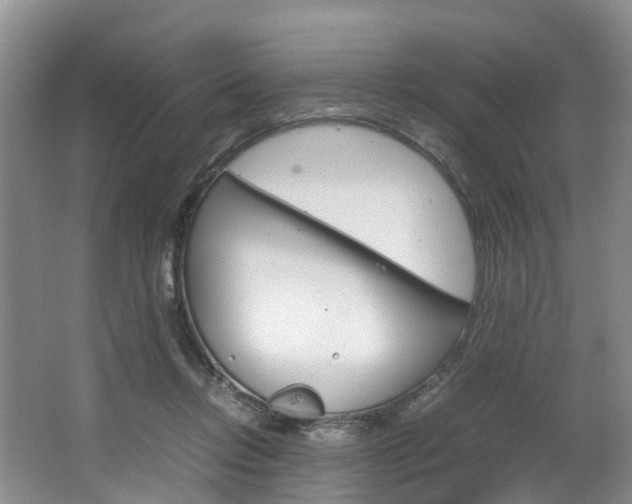 X0000064770358200602101059