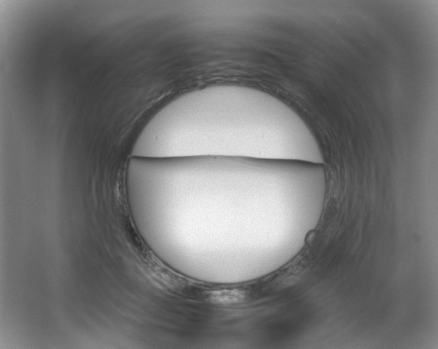 X0000064770363200602101059