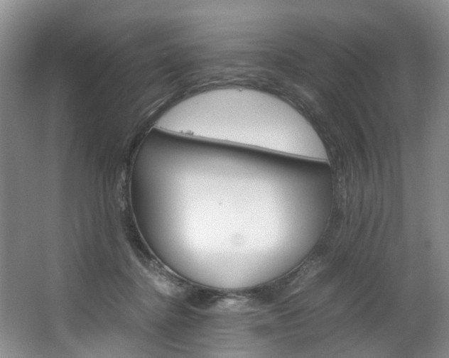 X0000064770364200602101100