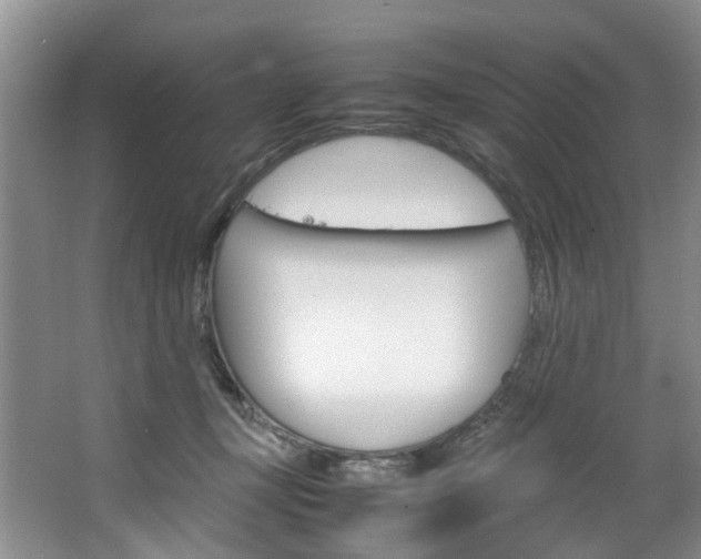 X0000064770367200602101100
