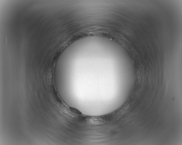 X0000064770372200602101100