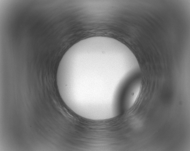 X0000064770380200602101100
