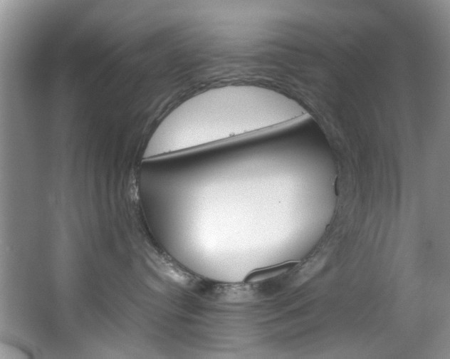 X0000064770384200602101100