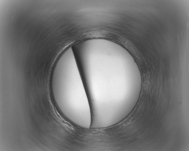 X0000064770386200602101059