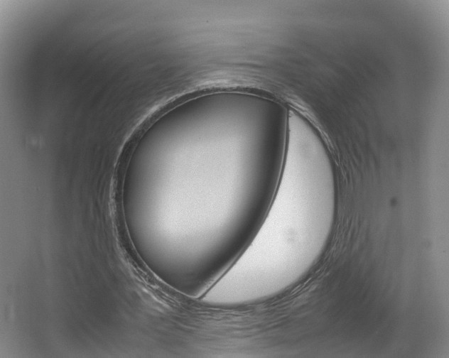 X0000064770387200602101059