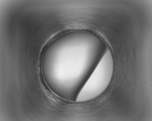 X0000064770395200602101059