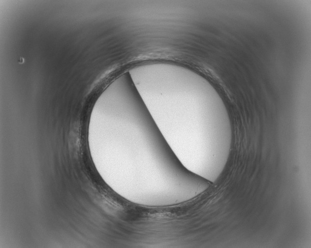 X0000064770396200602101059