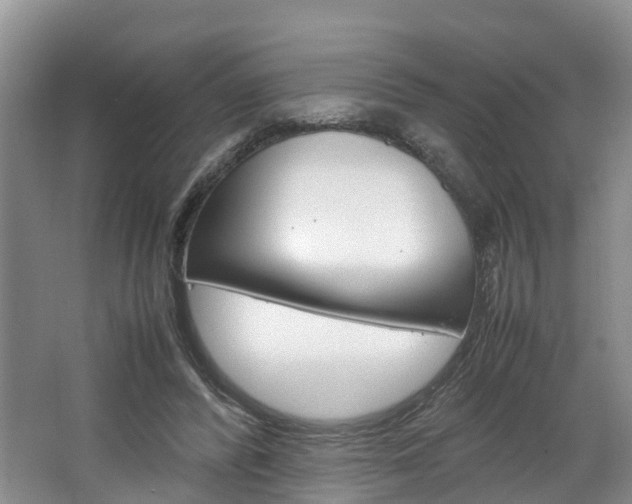 X0000064770400200602101059