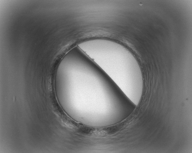 X0000064770403200602101059