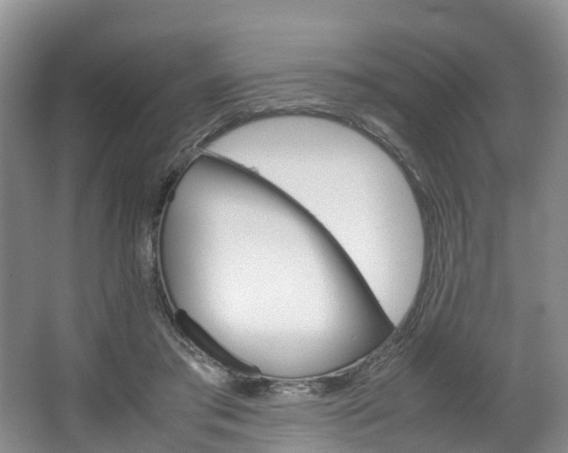 X0000064770405200602101059
