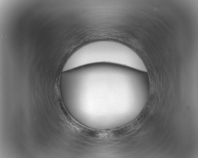X0000064770415200602101059