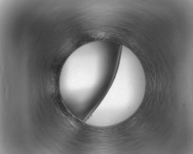 X0000064770416200602101059