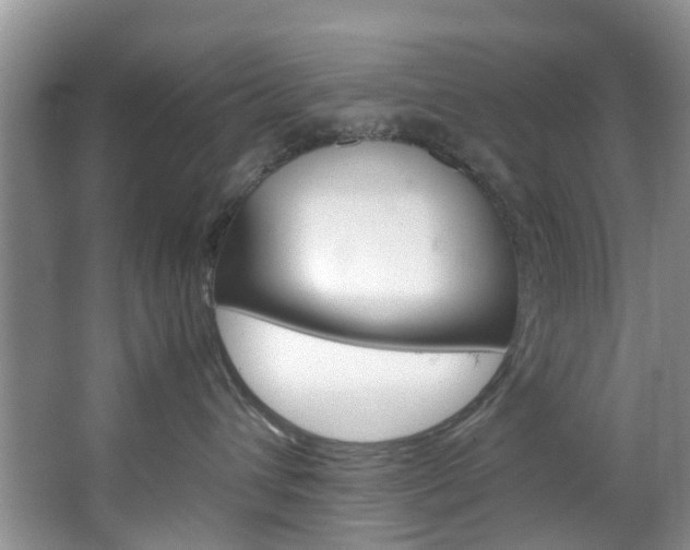 X0000064770432200602101058