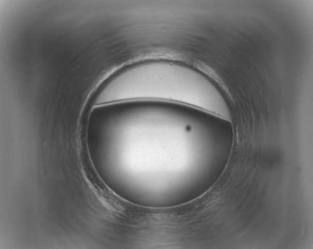 X0000064770436200602101057