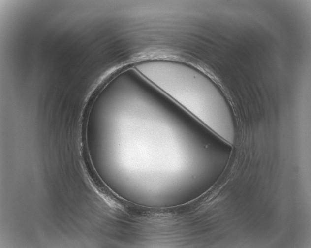 X0000064770438200602101058