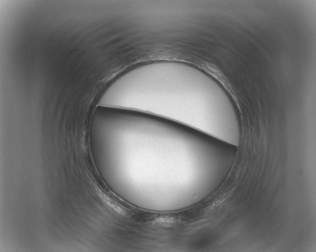 X0000064770441200602101058