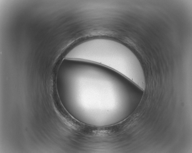 X0000064770448200602101058