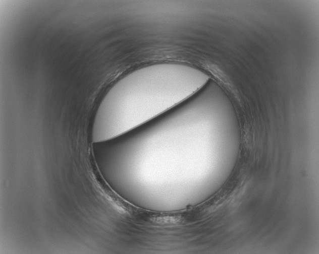 X0000064770449200602101058