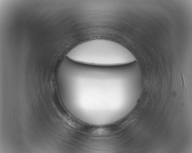 X0000064770460200602101058