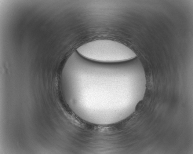 X0000064770472200602101058