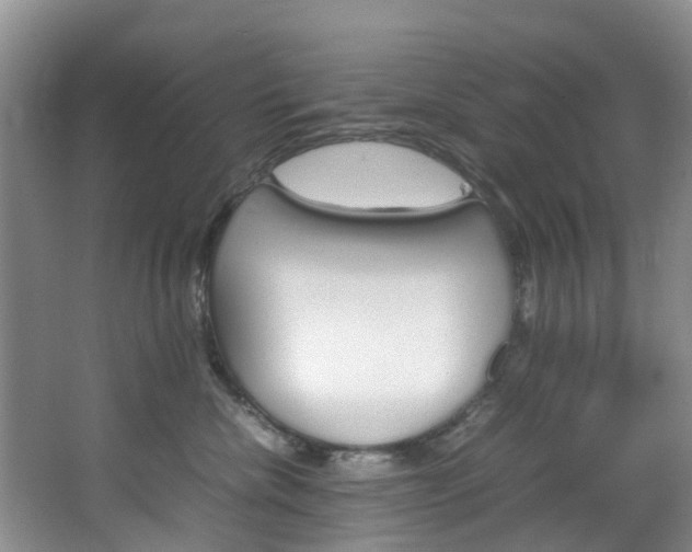 X0000064770476200602101058