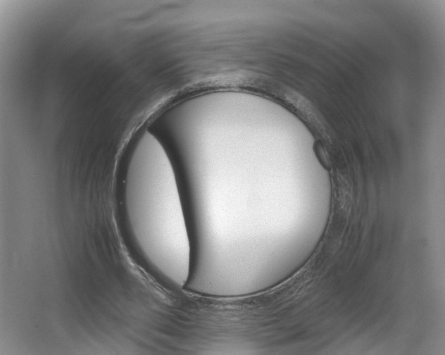 X0000064770486200602101057
