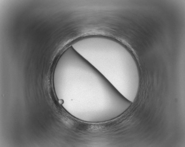 X0000064770487200602101057