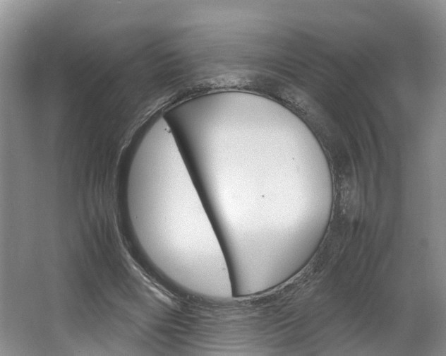 X0000064770490200602101057