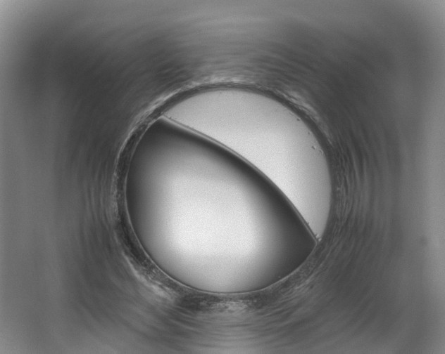 X0000064770492200602101057