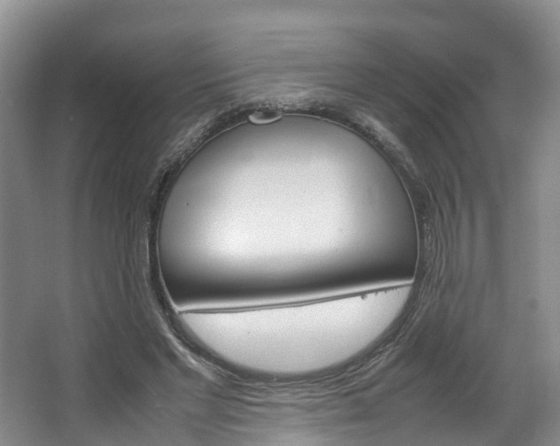 X0000064770493200602101057