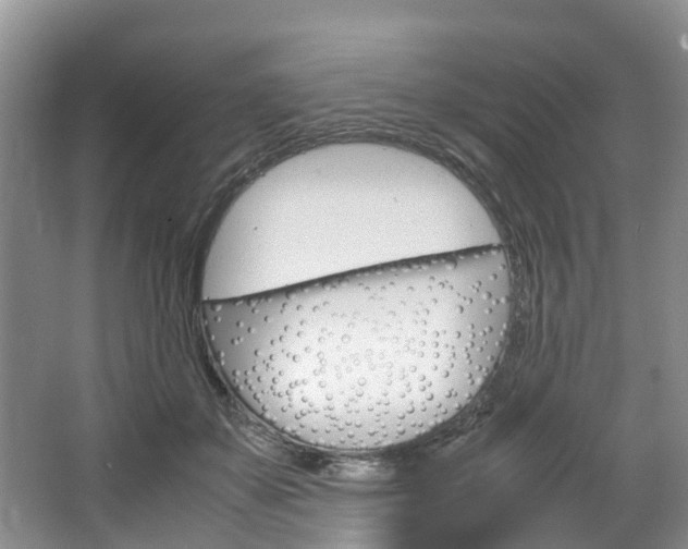 X0000064770507200602101057