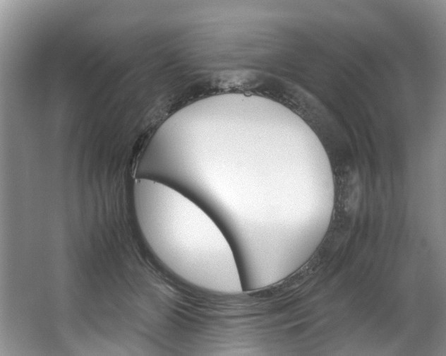 X0000064770510200602101057