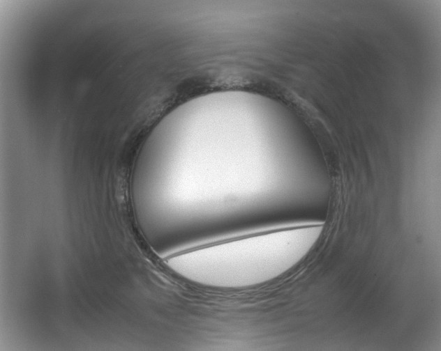 X0000064770517200602101057