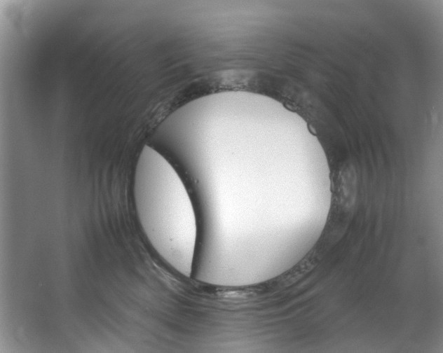 X0000064770522200602101057