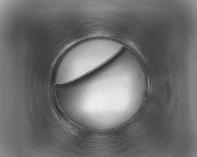 X0000064770531200602101056